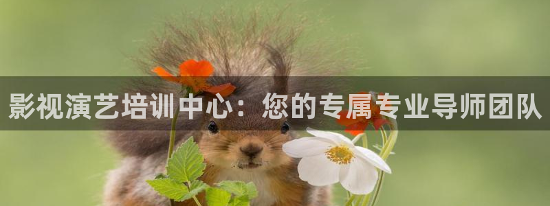 青柠影视在线观看完整版