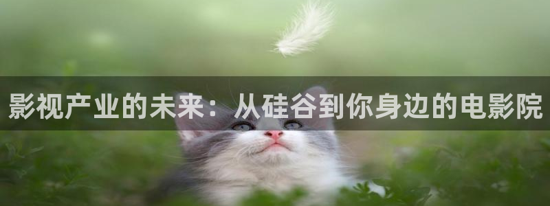 青柠网在线观看：影视产业的未来：从硅谷到你身边的电影院