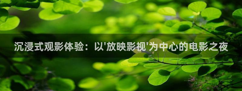 青柠影院伦理：沉浸式观影体验：以\'放映影视\'为中心的电影之夜