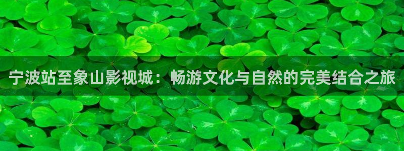 八戒青柠影院观看免费高清电视剧三：宁波站至象山影视城：畅游文化与自然的完美结合之旅